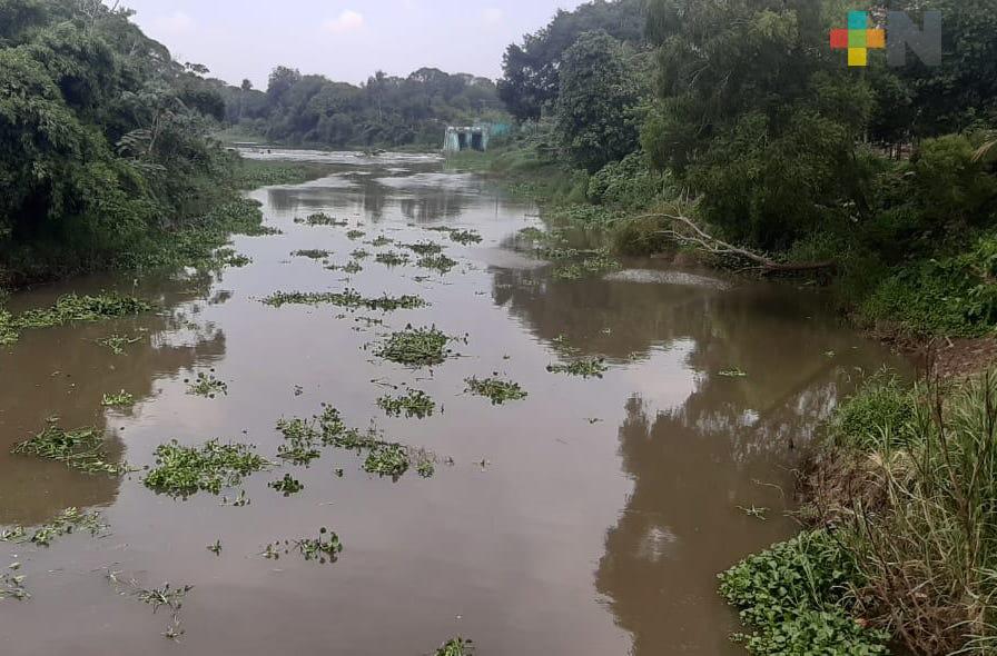 Niveles del Río Jamapa permiten operación al 100 por ciento de planta potabilizadora El Tejar