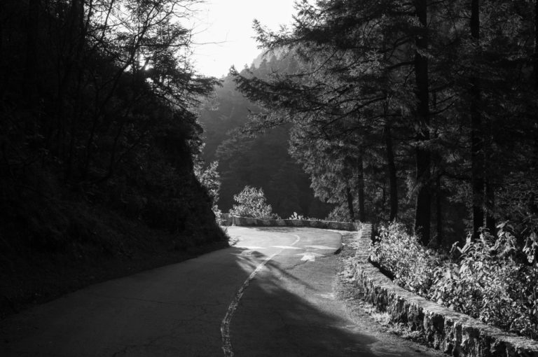 Ofrece IVEC los cursos “GIF en 3D” y “Balance de luces y sombras” en la Fototeca de Veracruz