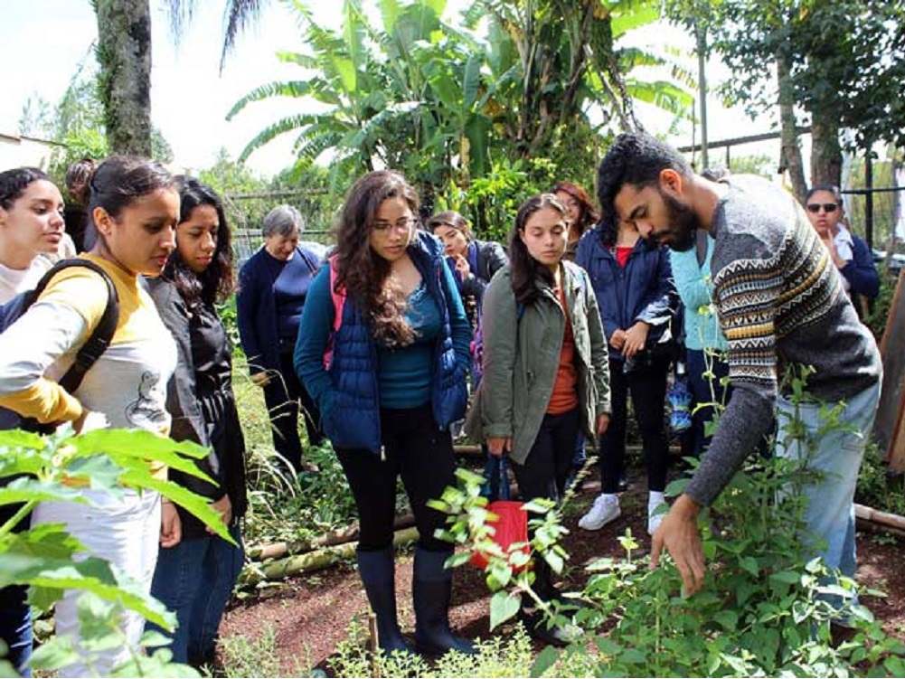 UV, finalista en los International Green Gown Awards