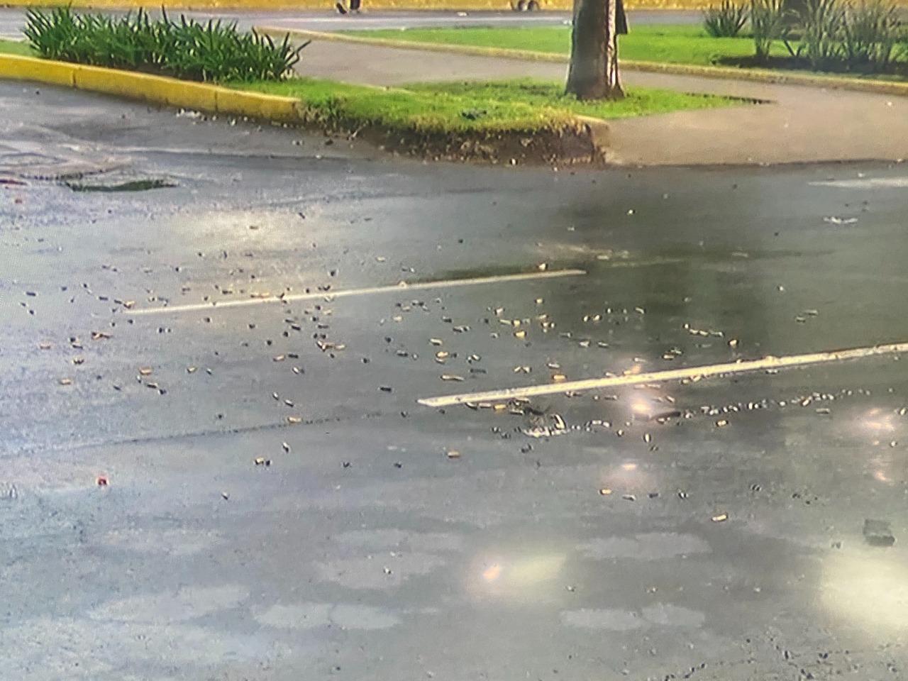 Así vivieron el atentado habitantes de CDMX