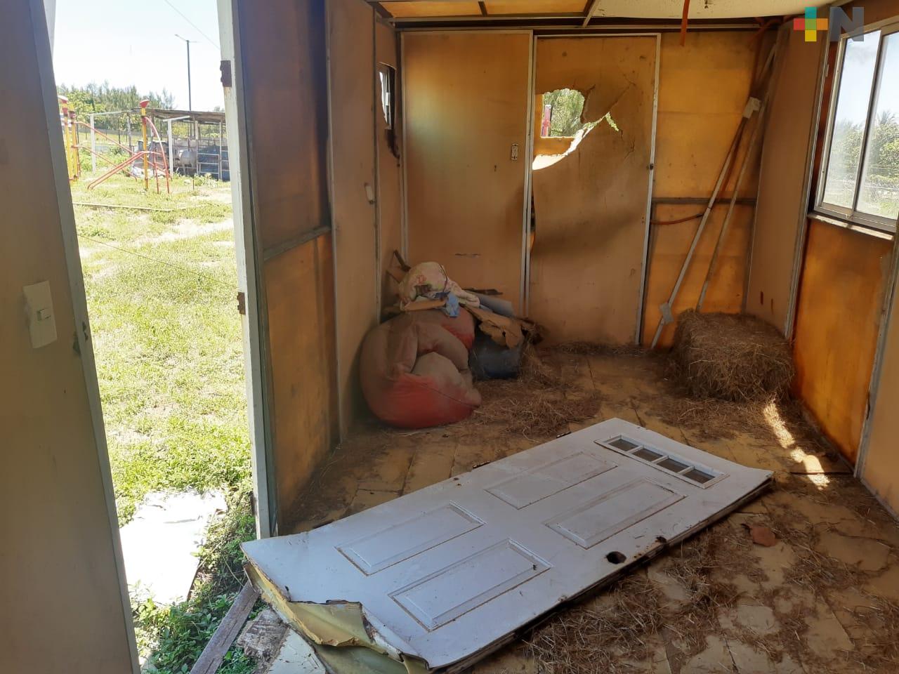 Roban equipo para equinoterapia a fundación «Yaritza Movimiento que cura»