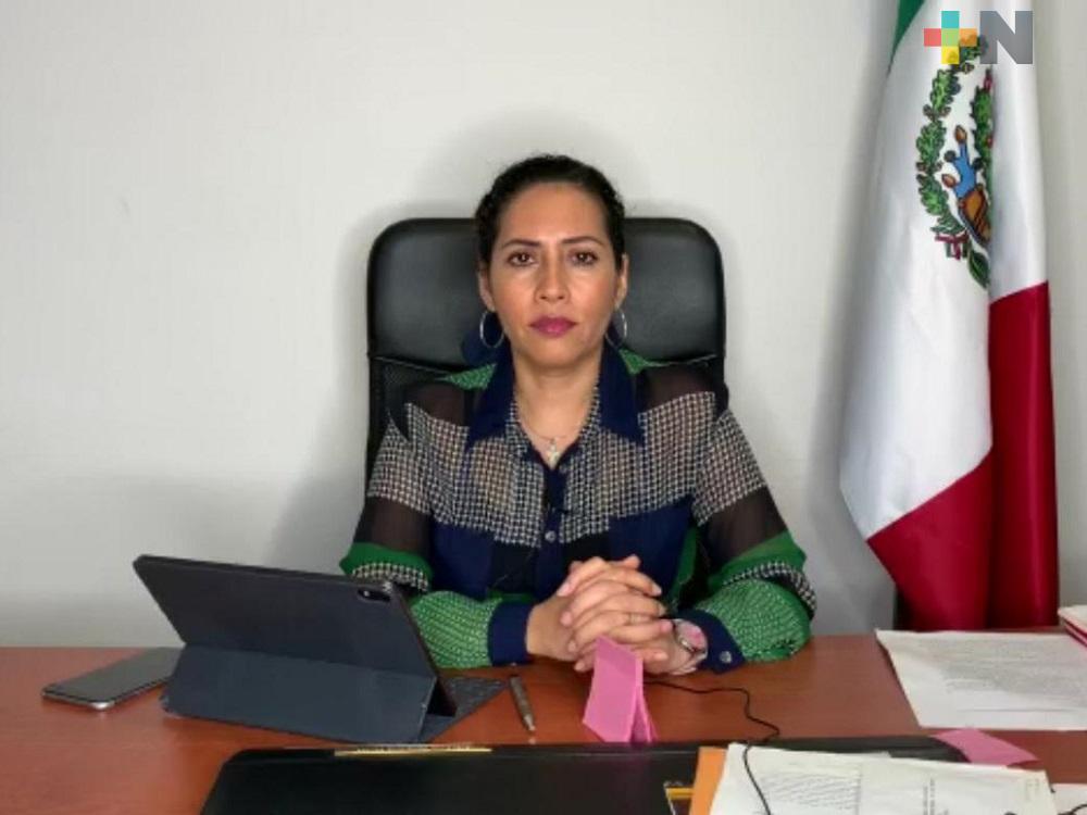 Presentan iniciativa para reformar ley de CFE, Pemex y Responsabilidades Administrativas