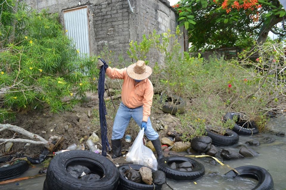 En Tamiahua, realizan limpieza de laguna y zona de manglar