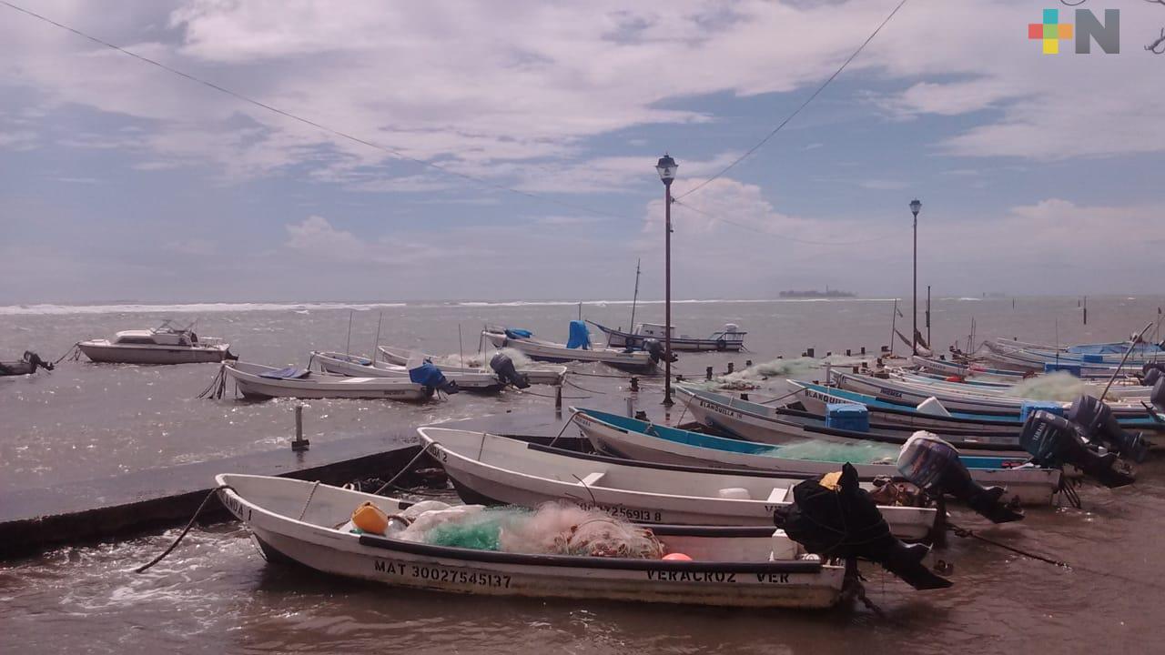 Apoyo económico federal está llegando a pescadores de Veracruz y Boca del Río
