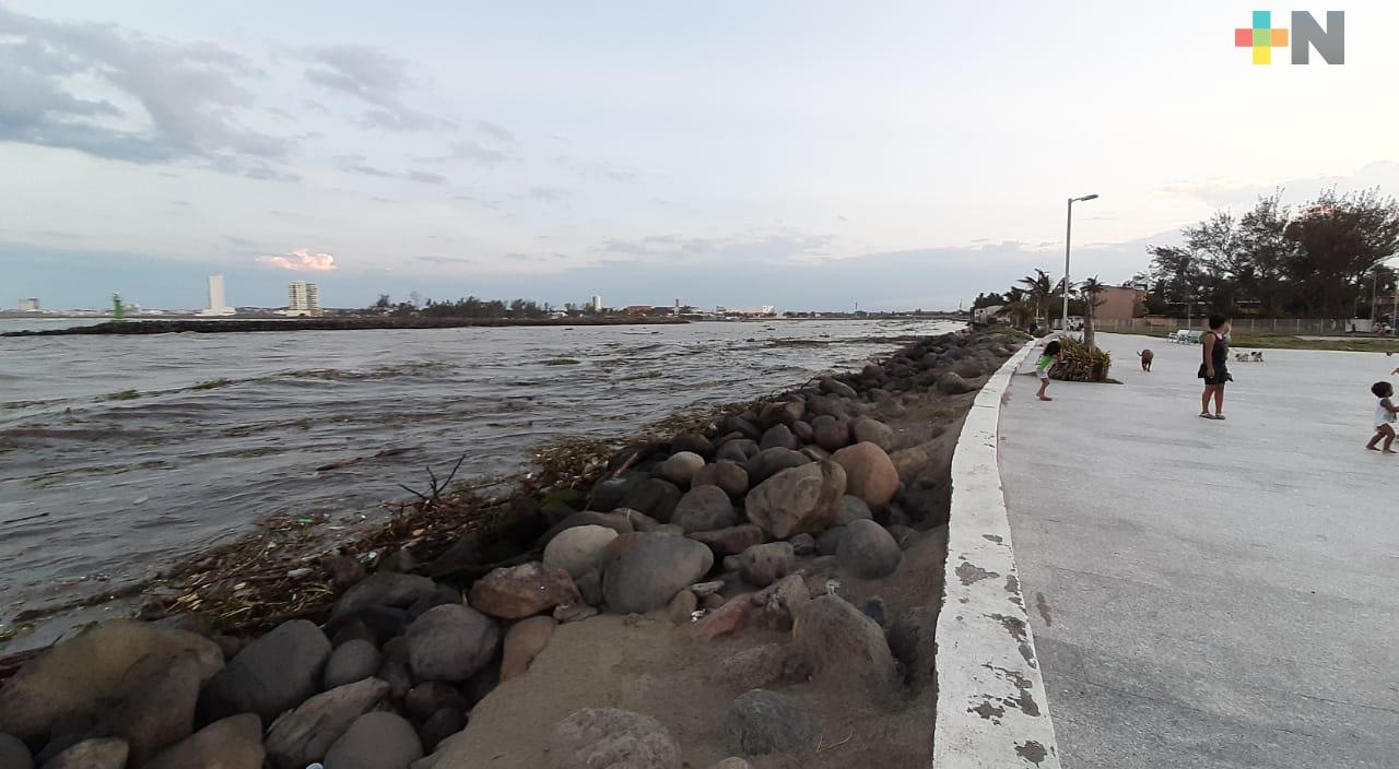 Río Jamapa arrastró gran cantidad de basura y palizada a Boca del Río