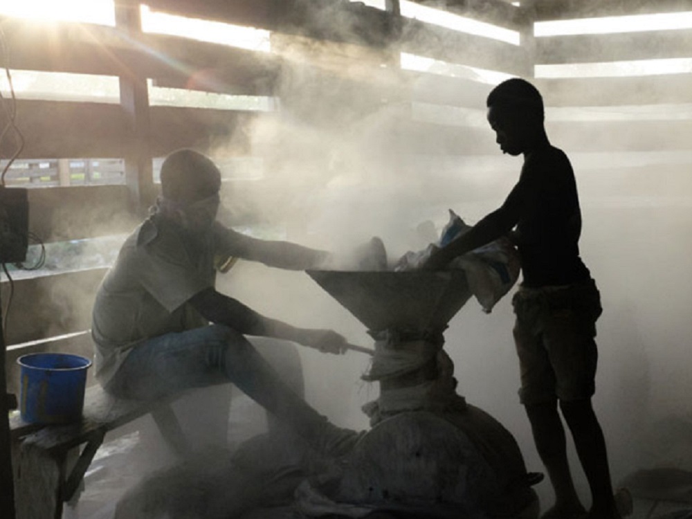 En el estado de Veracruz se trabaja para eliminar el el trabajo infantil