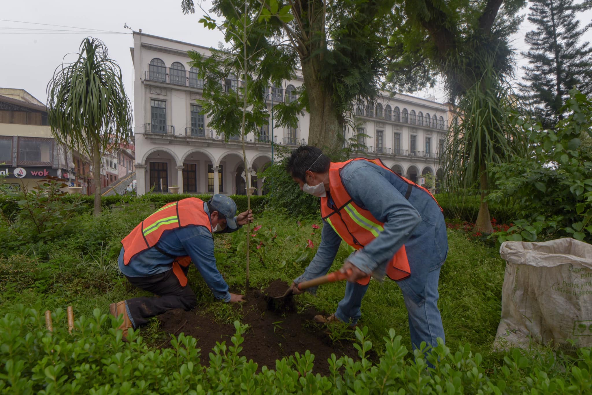 Inicia en Xalapa la semana de la reforestación