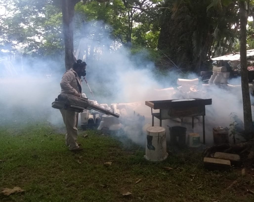 Continúa Salud con acciones preventivas para evitar criaderos de mosquitos