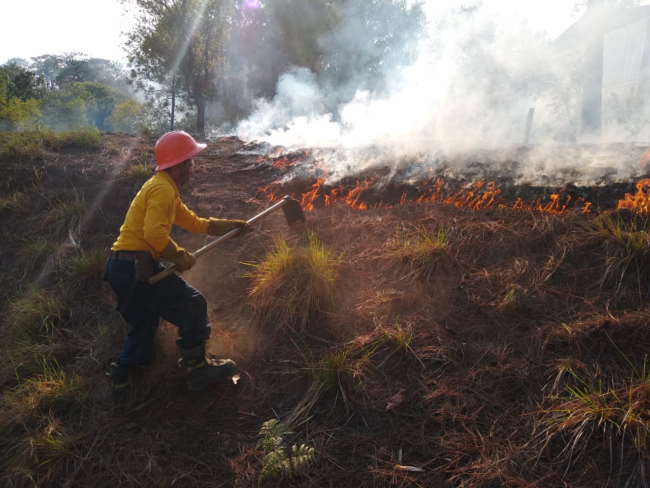En lo que va del año se han registrado 52 incendios forestales en el estado de Veracruz