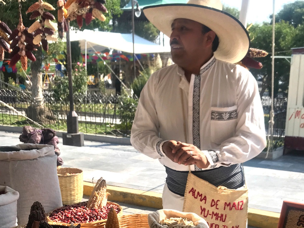 Deforestación, cambio climático, migración de jóvenes, problemas que amenazan al campo mexicano