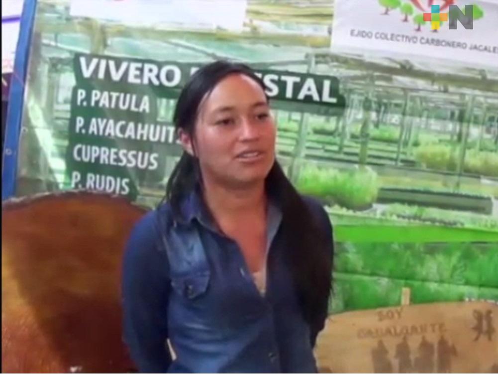 Ejido Carbonero Jacales lleva a cabo reforestación sustentable
