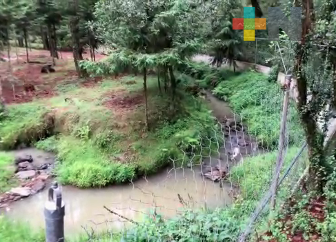 Planta de tratamiento de aguas negras en Huayacocotla sin funcionar,  contamina mantos acuíferos