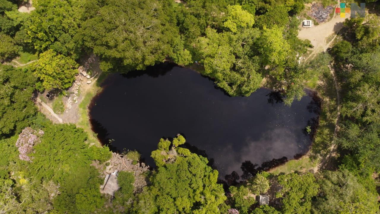 Cuarentena propicia conservación de áreas naturales en Tantoyuca