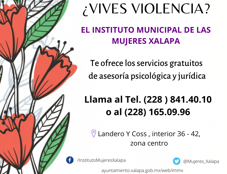 IMMX explica cómo interponer una denuncia en caso de ser víctima de violencia