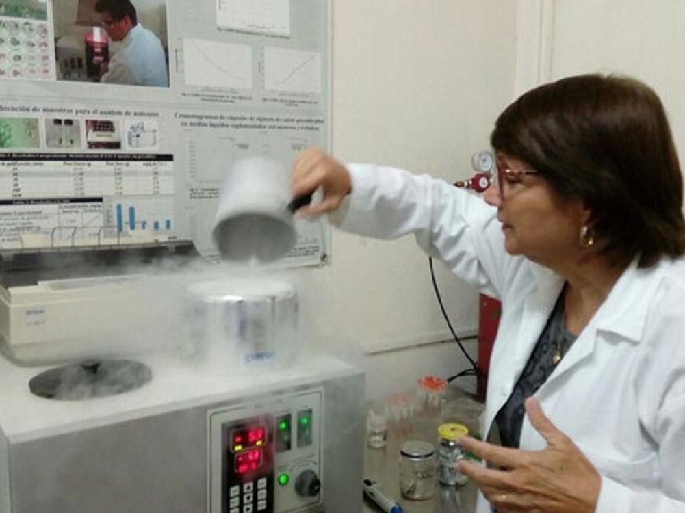 Investigadora de la UV realiza estudios de crioconservación en plantas