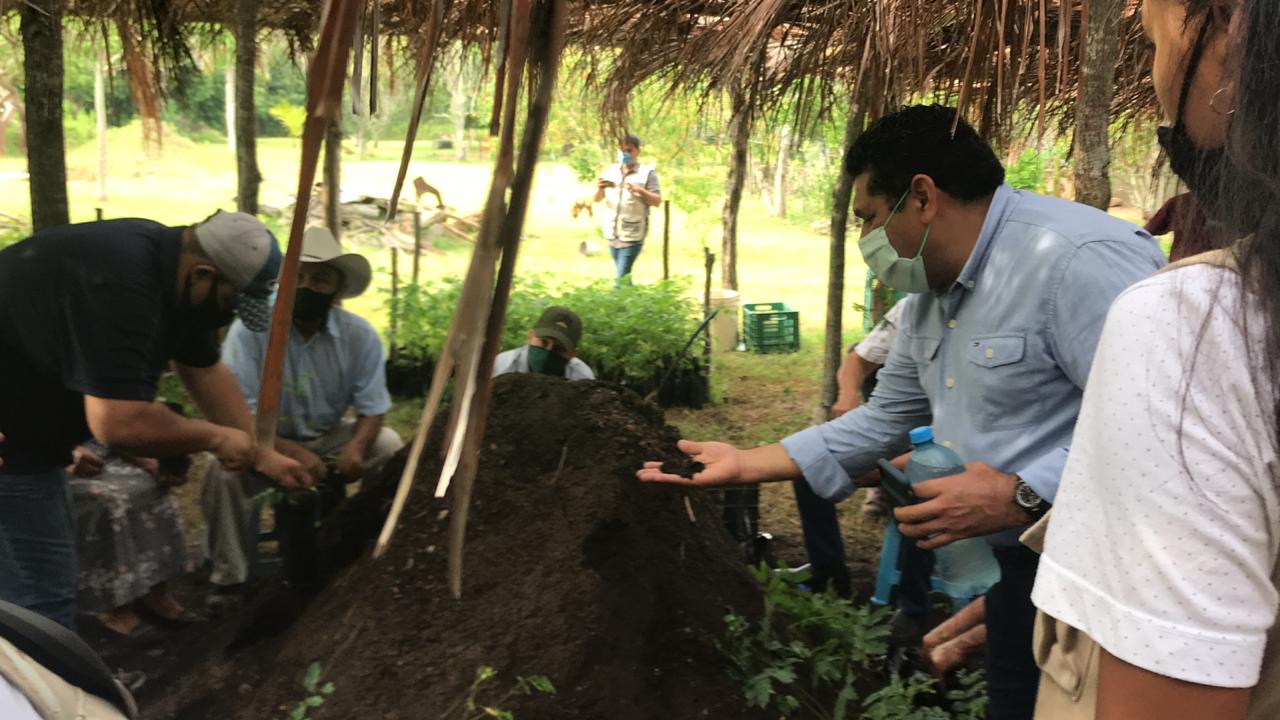 Supervisaron invernaderos de Sembrando Vida en Tampico Alto