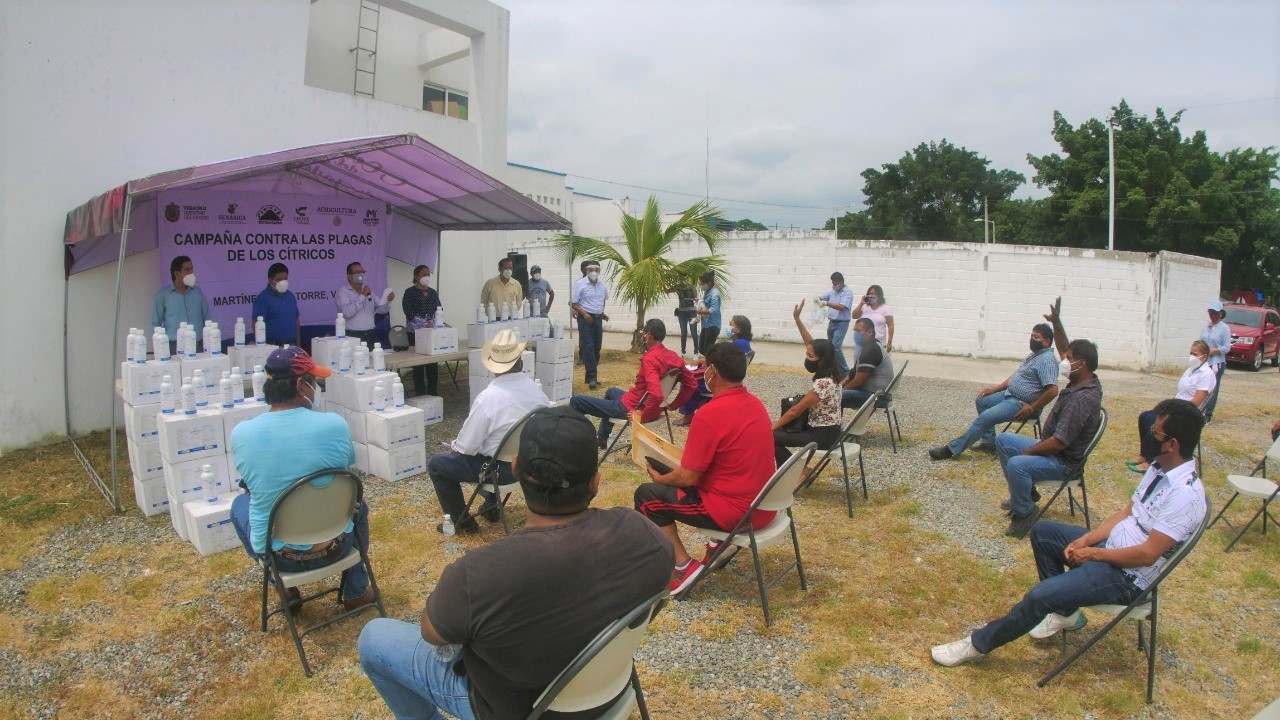 Sanidad Vegetal entregó insumos para el campo para combatir la Diaphorina Citri