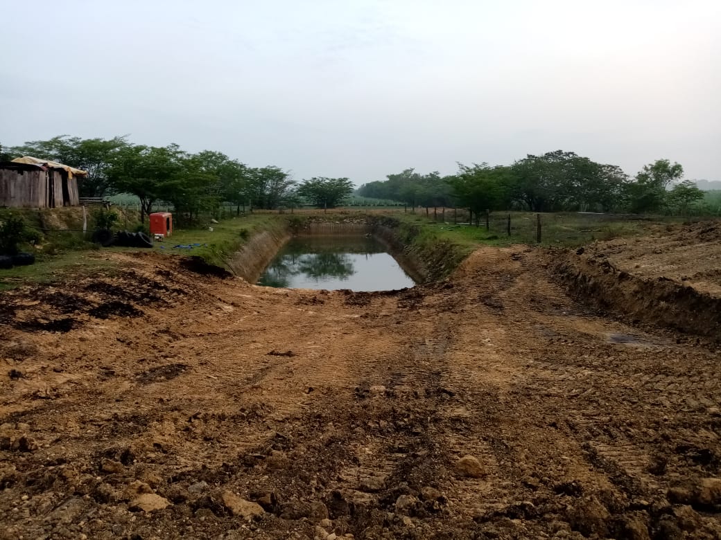 Construidas más de 880 hoyas de agua en zona norte de Veracruz: Sedarpa
