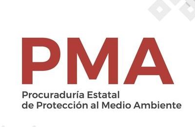 Destina PMA 150 mdp recaudados para remediar el medio ambiente: Sergio Rodríguez