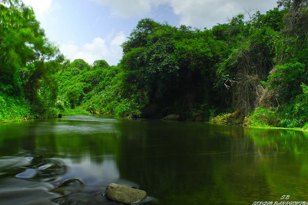 Río Actopan