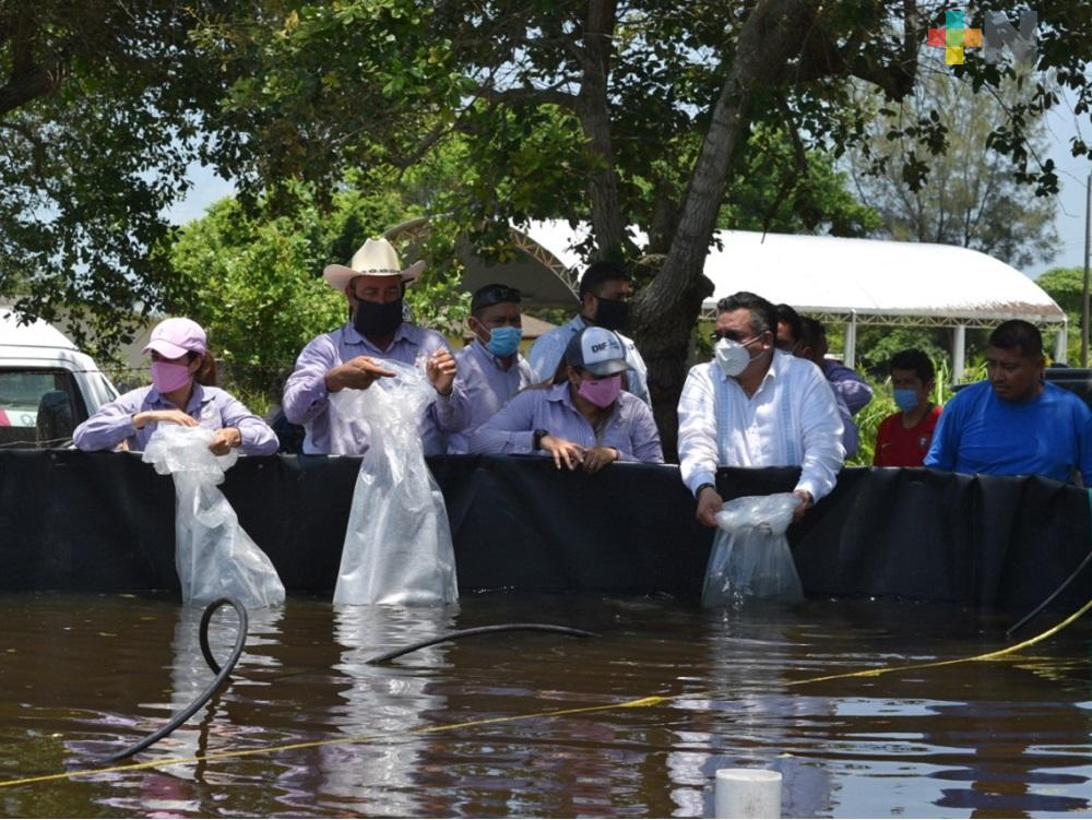 Sedarpa beneficia a acuicultores de Ozuluama