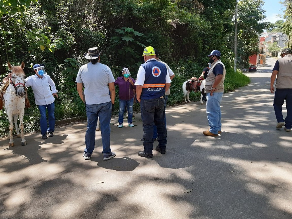 Suspende ayuntamiento actividad lucrativa en el parque Los Berros