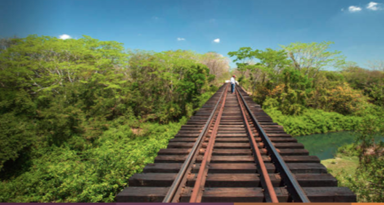 Asociación de ferrocarriles confía se detone economía del sur–sureste del país con la construcción del Tren Maya