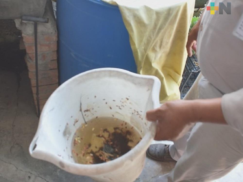 Vectores detectan falta de labores de limpieza en domicilios de Tantoyuca