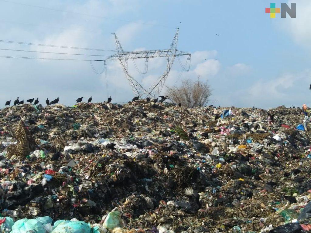 Semarnat busca proyecto para manejo responsable de basura en zona sur