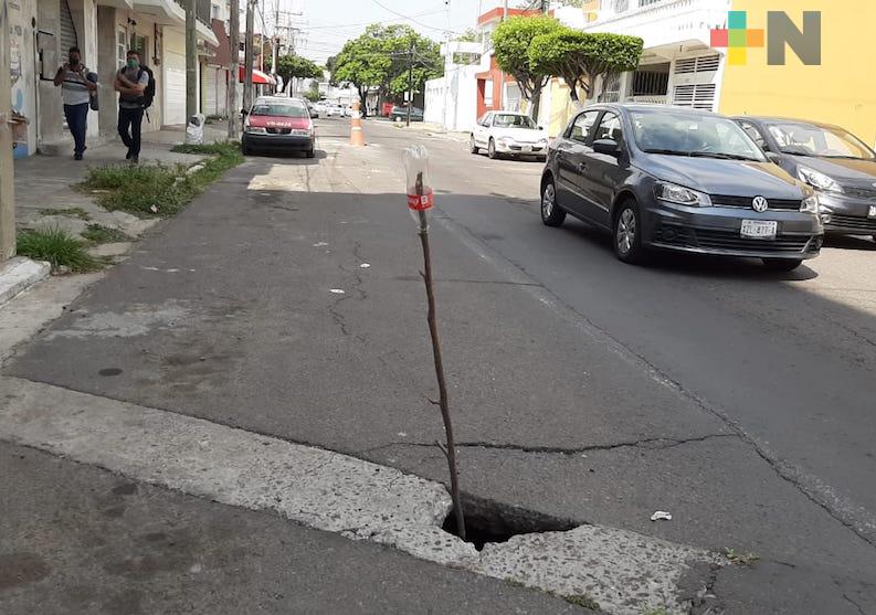 Reportan hundimientos en calle Tuero Molina de Veracruz