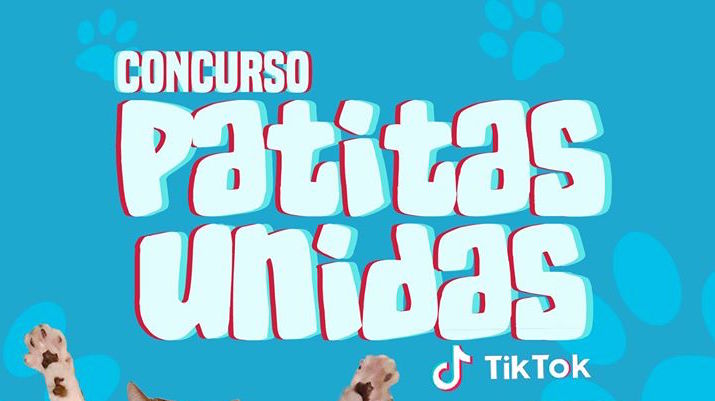Convocatoria de «Patitas Unidas TikTok» llega hasta Europa