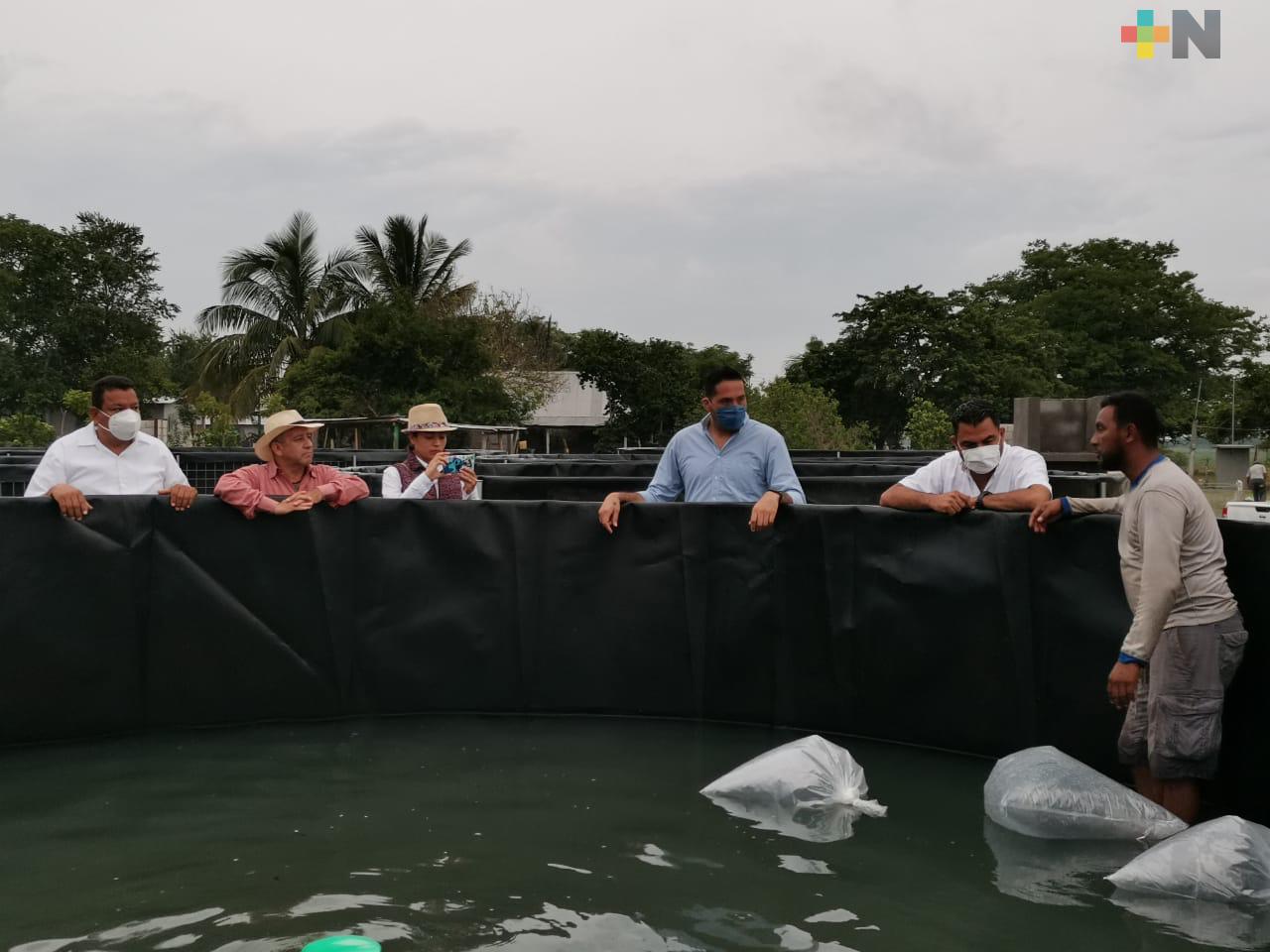 Ayuntamiento de Tierra Blanca apoya al sector pesquero y acuícola