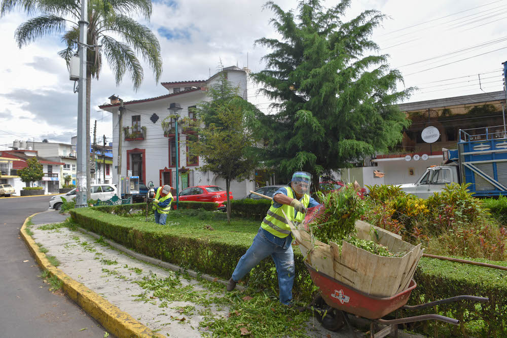 En 30 días dan mantenimiento a 121 mil metros cuadrados de áreas verdes en Xalapa