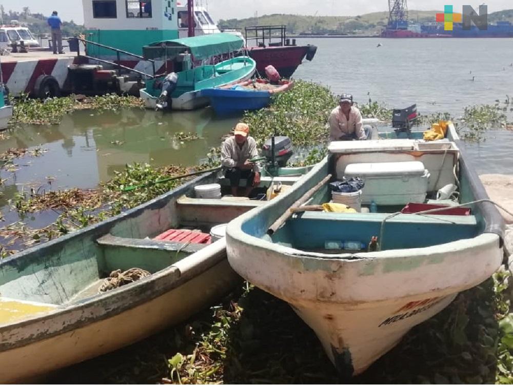 COVID-19 continúa afectado economía de pescadores en Coatzacoalcos