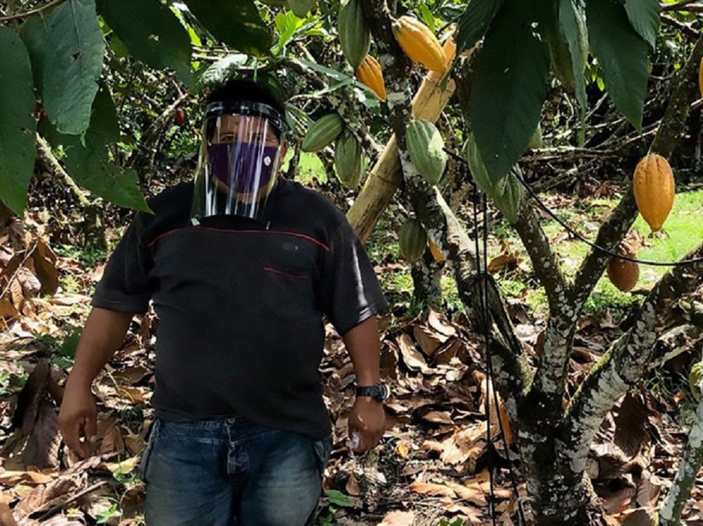 Con cascos de bioseguridad, campesinos en Colombia trabajan para alimentar al país en medio de la pandemia