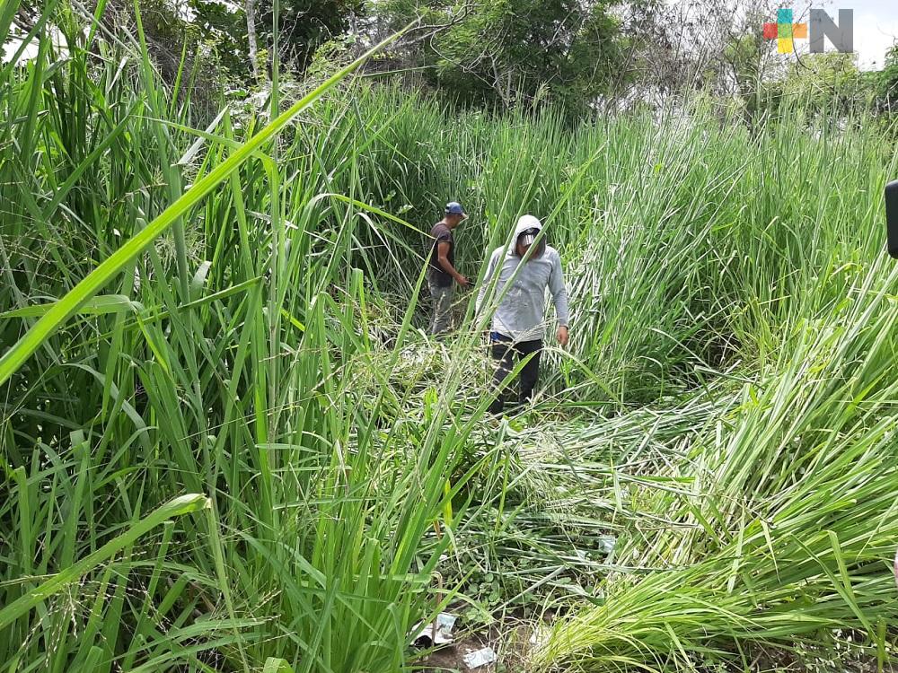 Construcción de gasolinera en Boca del Río, afectará hábitat de diversas especies de animales