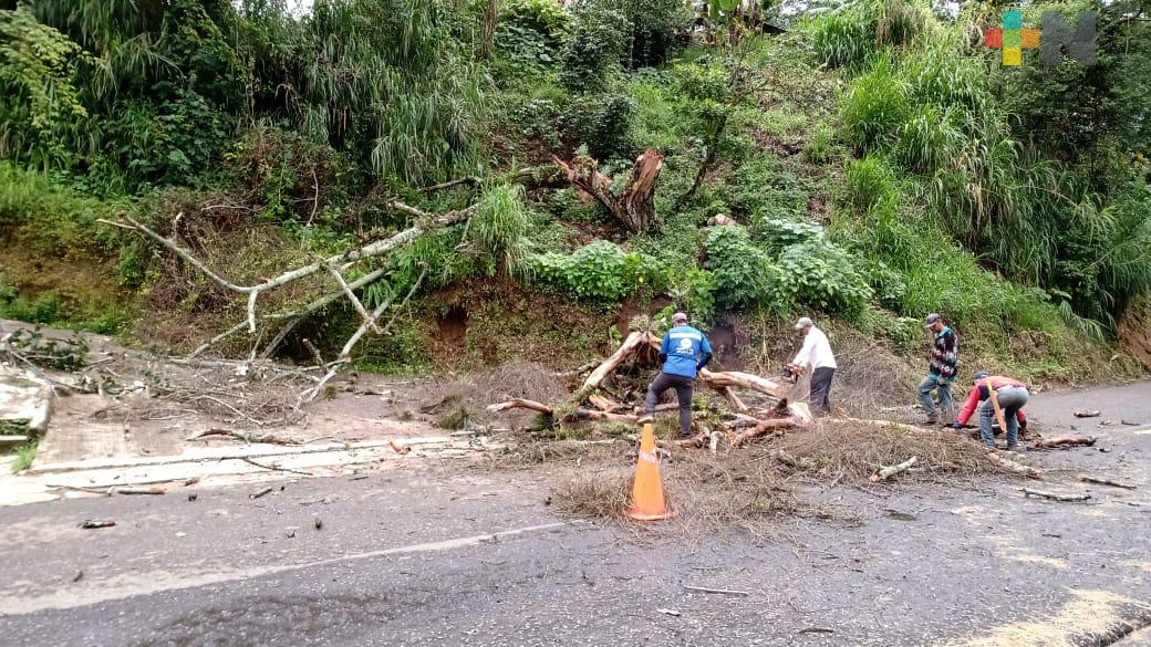 Lluvias ocasionan tres decesos y 11 municipios afectados: SPC