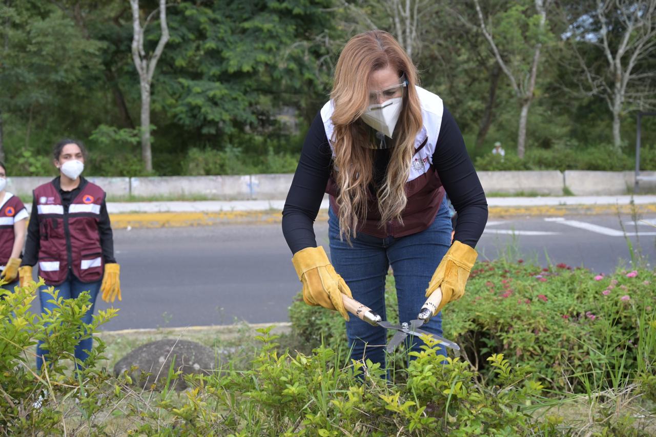 DIF Estatal adopta área verde y jardineras de glorieta Cinco Cerros
