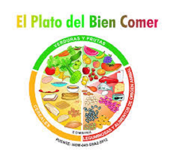 Plato del Bien Comer asegura una alimentación balanceada: Nutrióloga