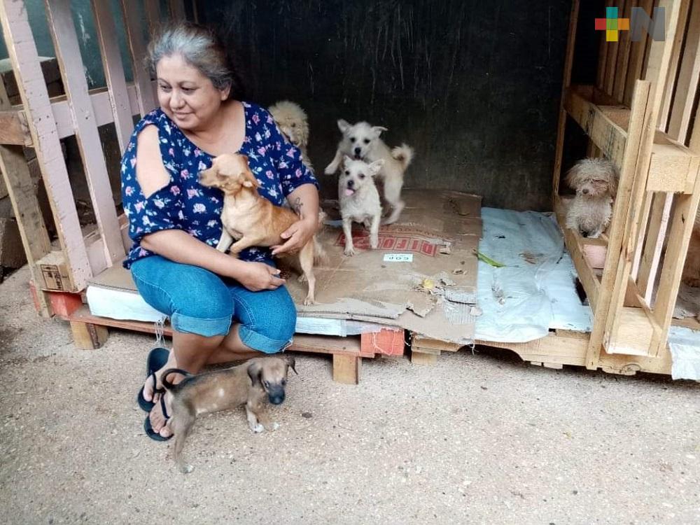 Refugio Lentejitas solicitan donaciones para alimentar a perros y gatos rescatados