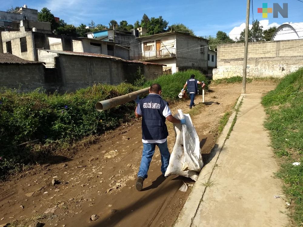 Siguen las jornadas de descacharrización en Xalapa