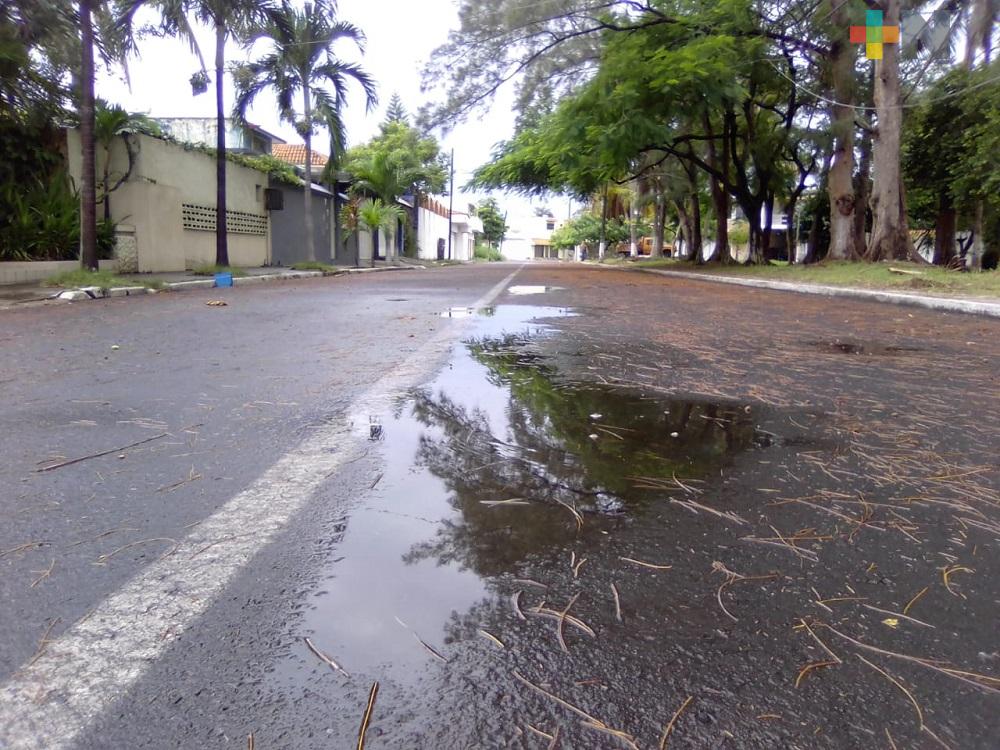 Vecinos limpian calles para evitar inundaciones en el fraccionamiento Floresta de Veracruz