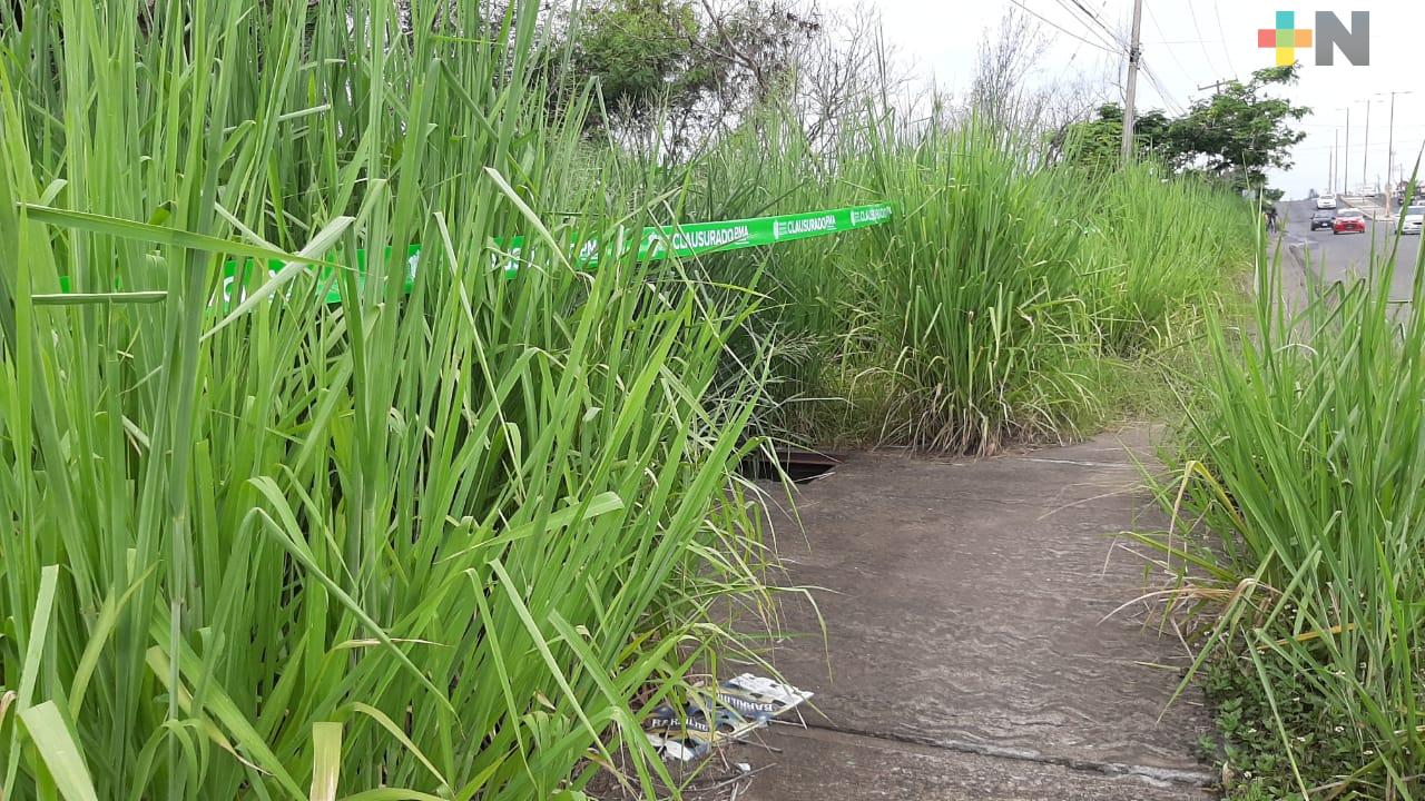 Continúa detenida la construcción de gasolinera en zona de humedales de carretera Veracruz-El Tejar