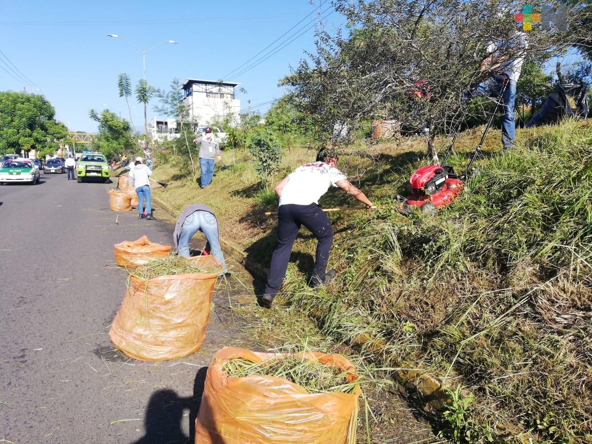 SSP realizó labores de limpieza en camellón del circuito Rafael Guízar