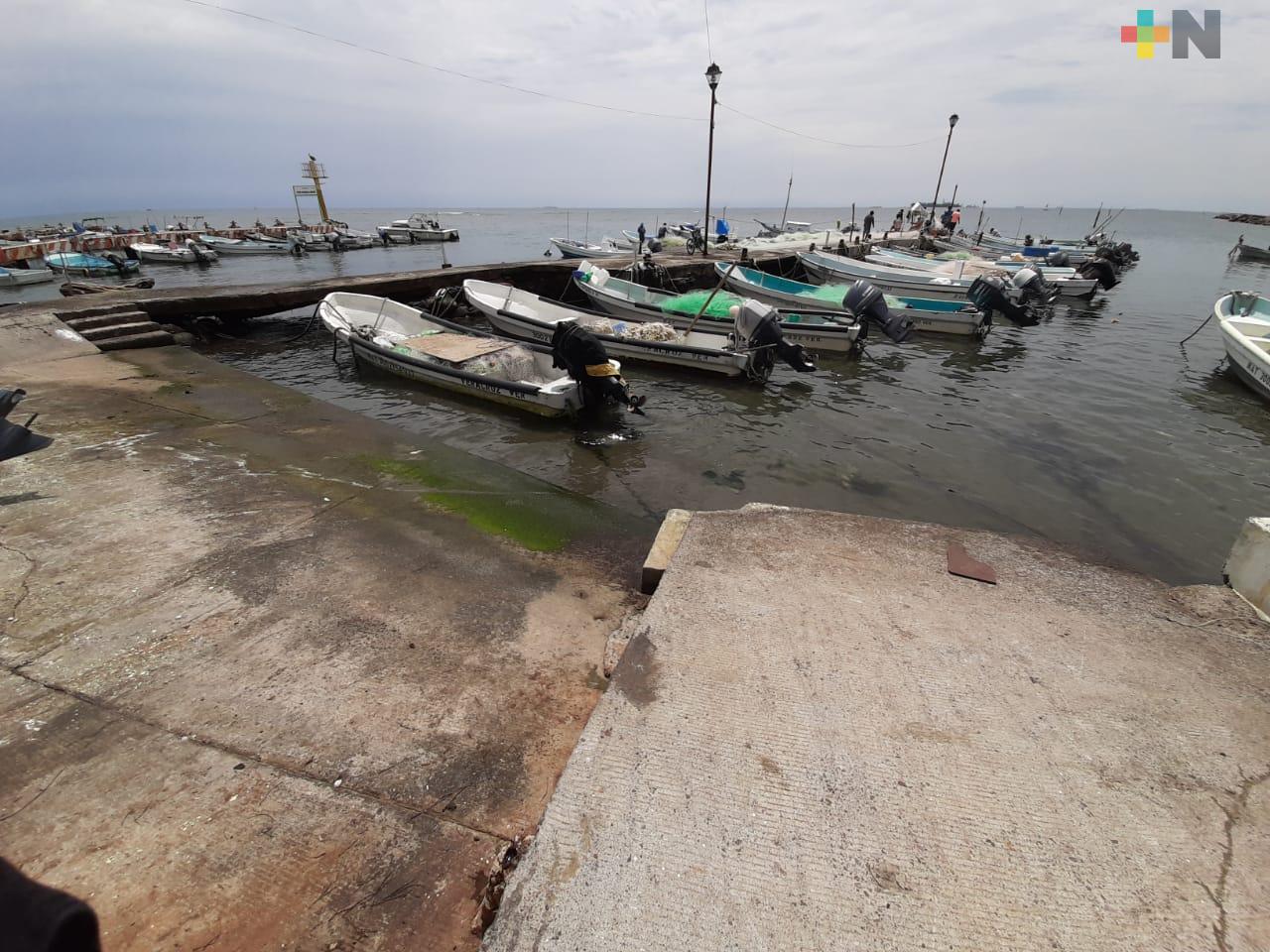 Diez pescadores del municipio de Veracruz presentaron síntomas sospechosos de COVID-19