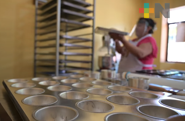 DIF estatal habilitará talleres de panadería en seis municipios de Veracruz