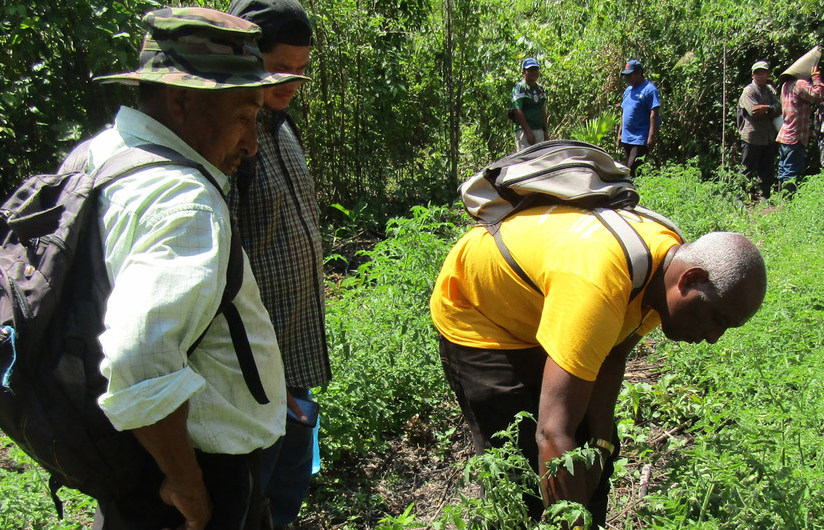 Estamos perdiendo la sabiduría de los pueblos indígenas de América Latina