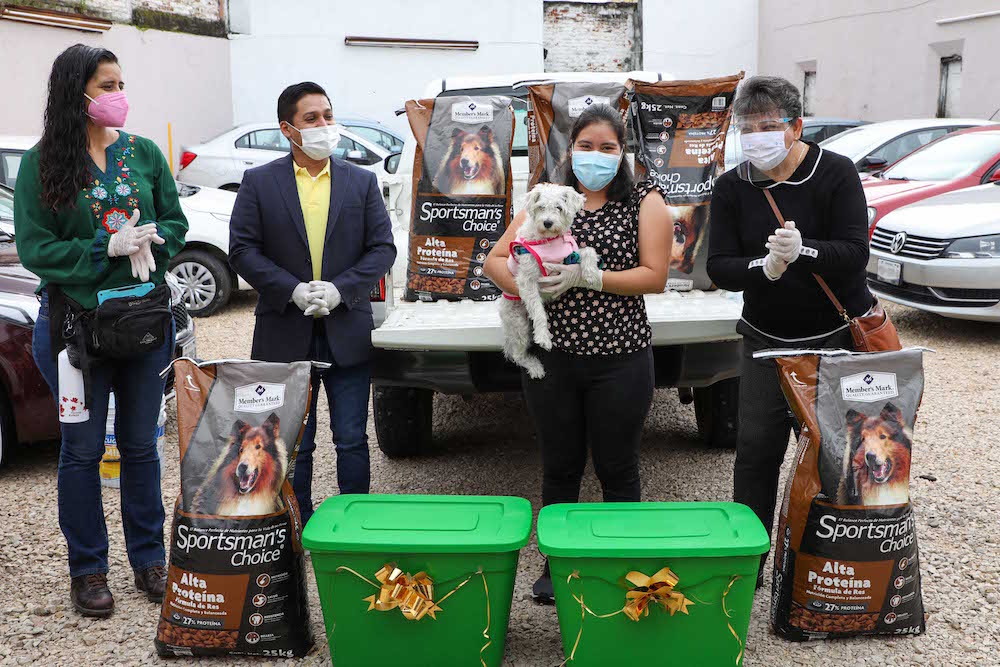 Premia Ayuntamiento a ganadores del concurso Patitas Unidas Stickers