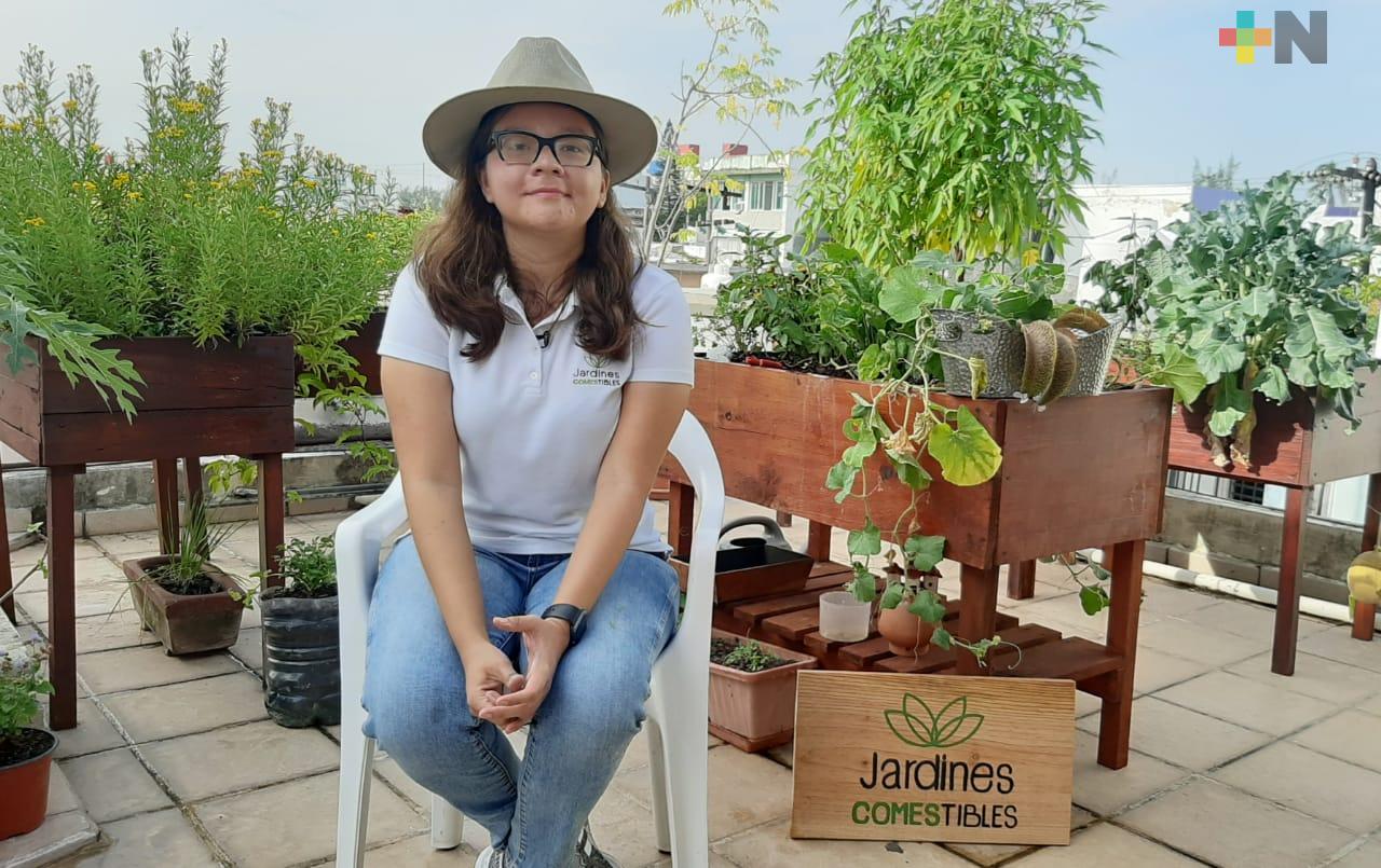Huertos urbanos, una opción para reencontrarse con la naturaleza