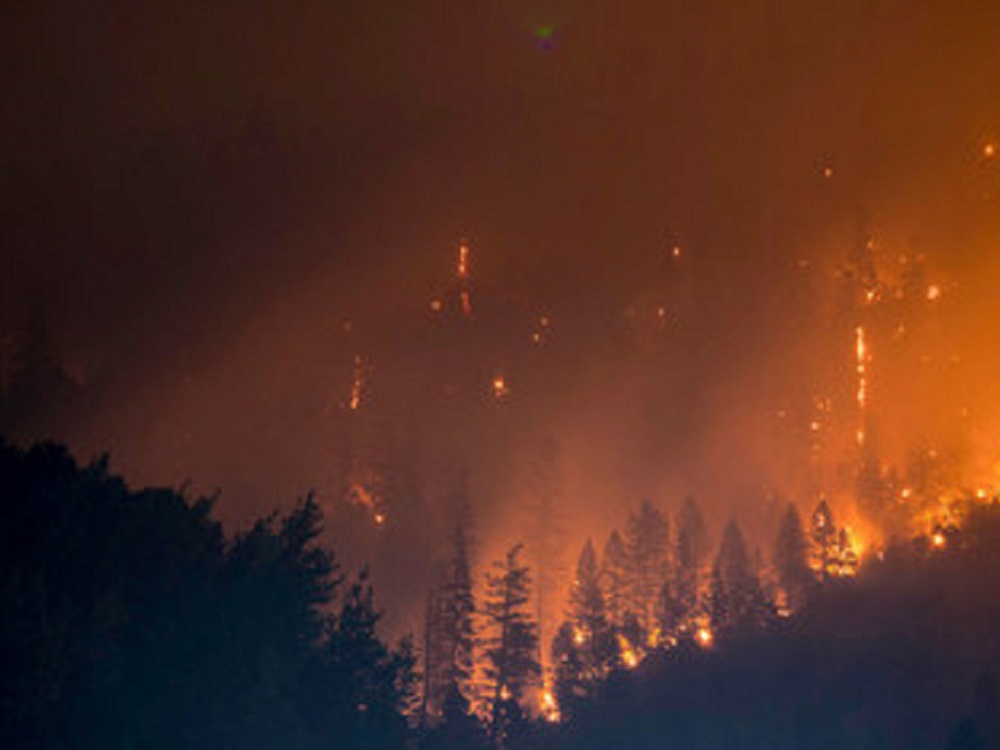 Cambio climático avanza implacablemente a pesar de pandemia COVID-19, advierten científicos